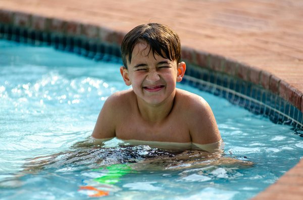 Welche Blumen ziehen Schmetterlinge in den Garten?